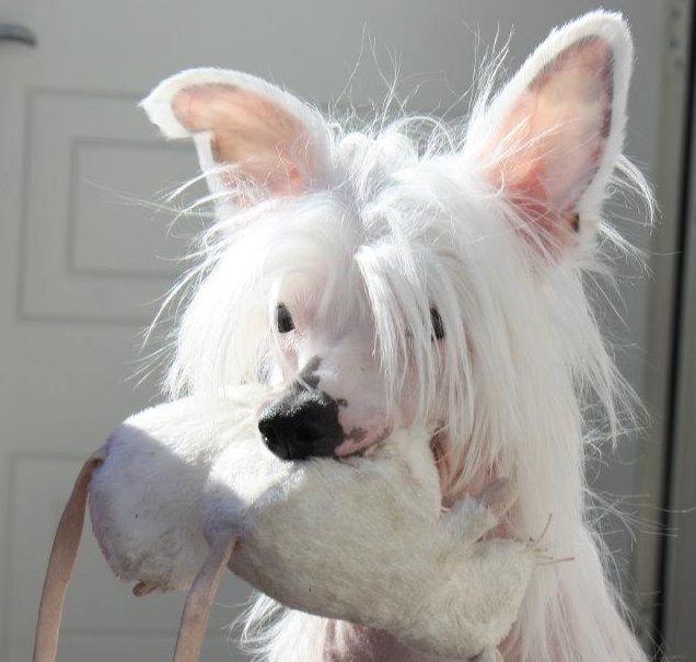 Reject's Number Sixteen