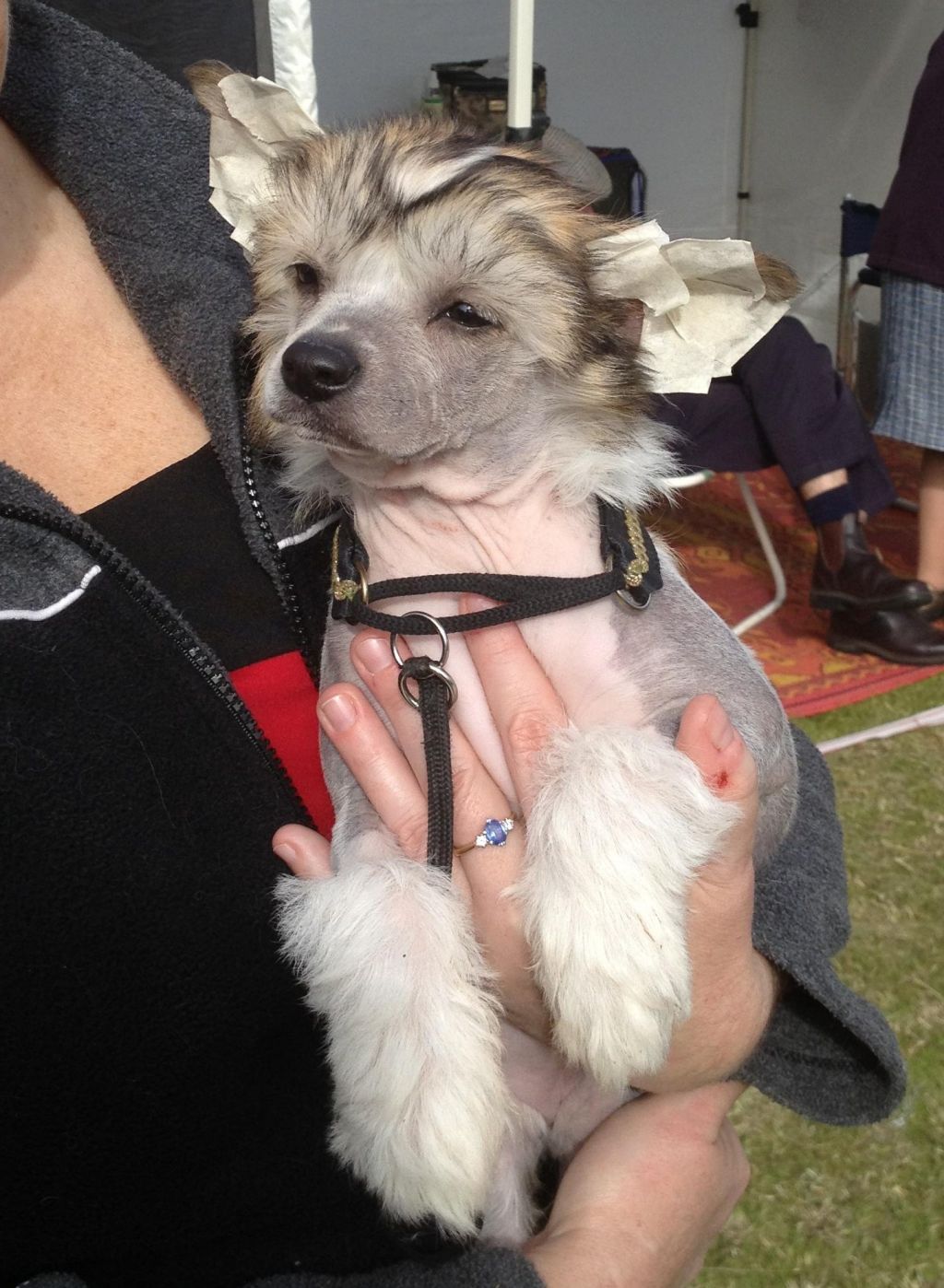 Chinois Cheche' La Femme