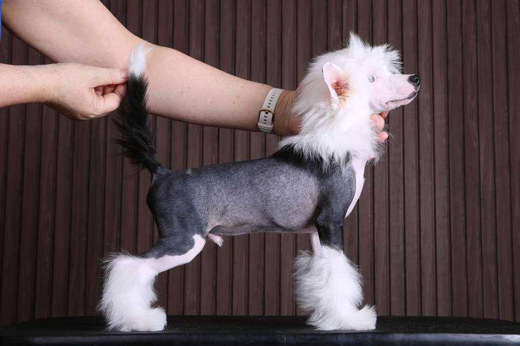 Incanto Del Mondo Tinder