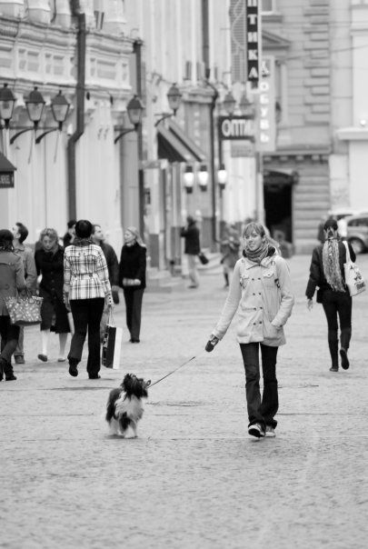 Vivat Sanraiz True Magnifisen