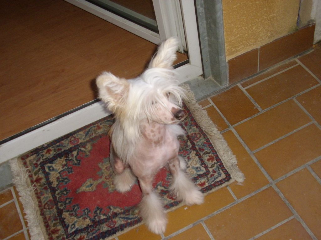 Pamela Kalis z Treste