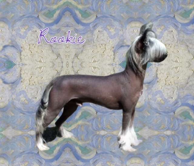 Windwater Call My Agent at Ladyday