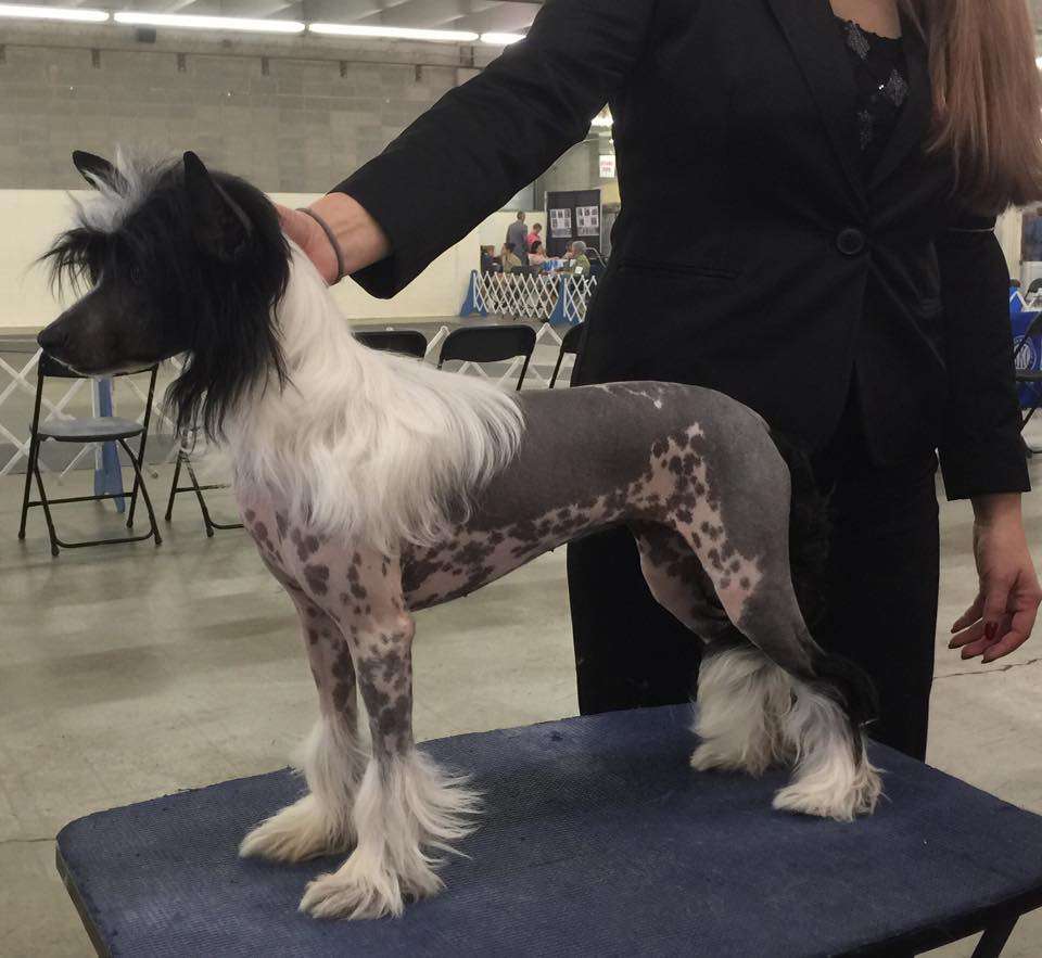 Famous stripped down to black n white