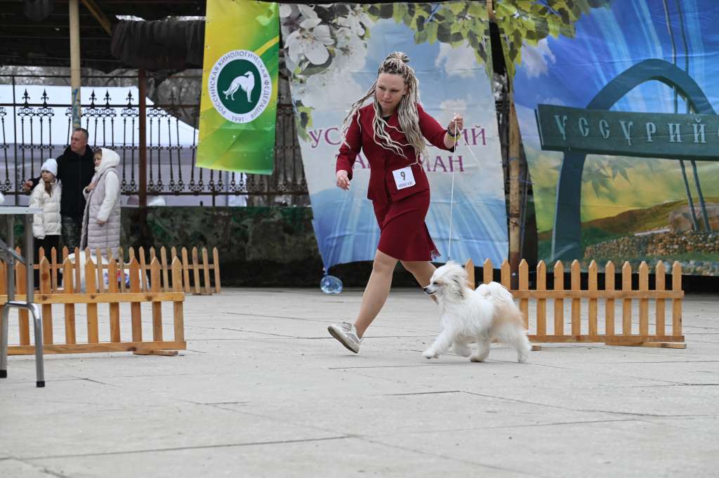 Elance Louange Dark Hart