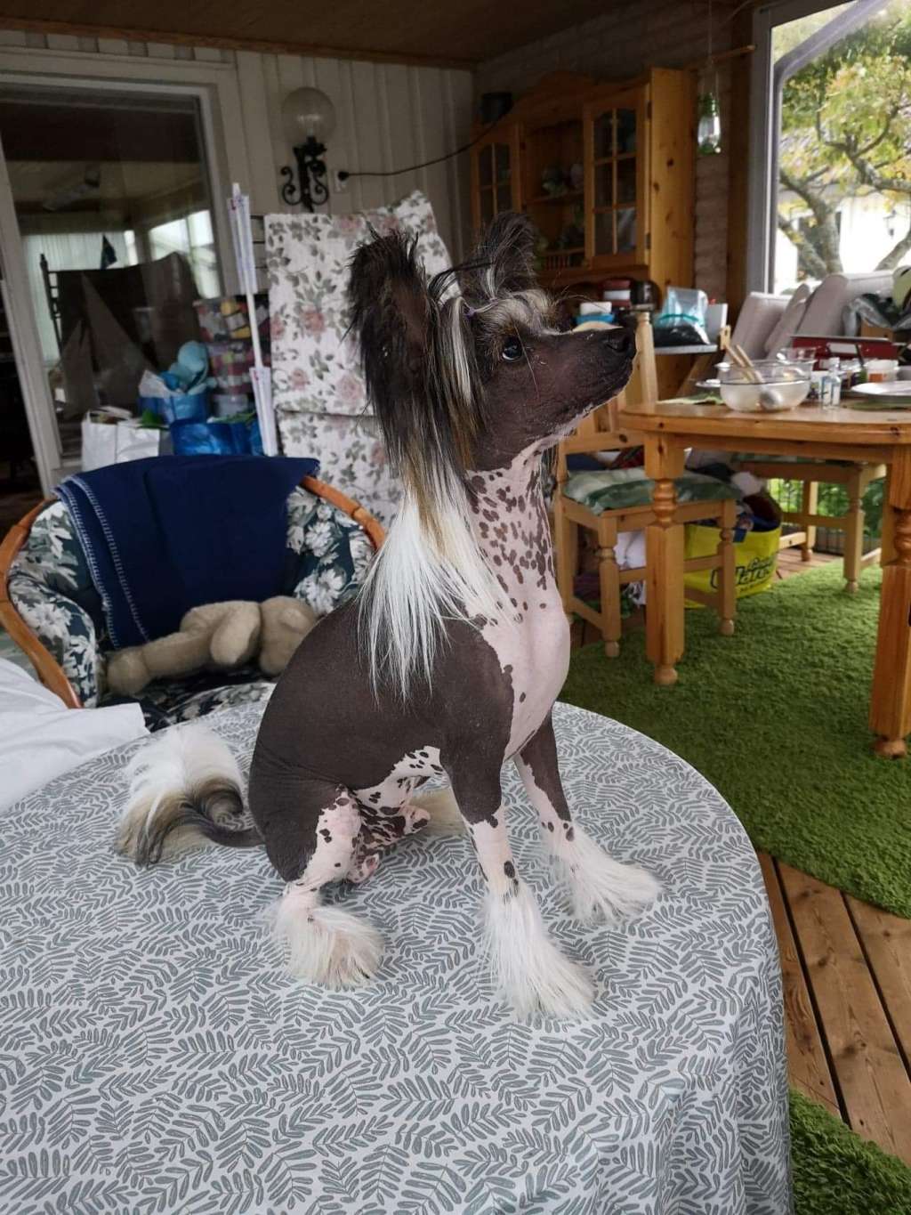 Ridgecrest's Deadly Handsome