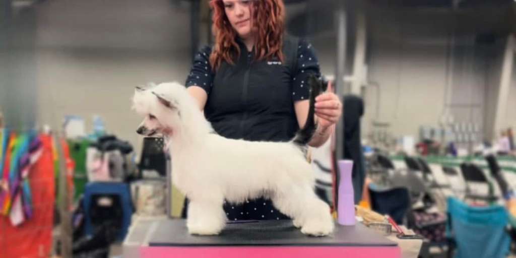 Taja Ancestral Magic