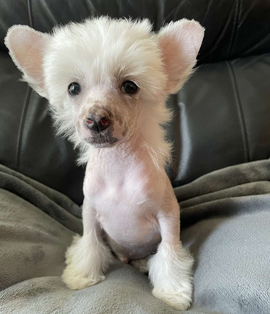 Maybell's Spring Glow