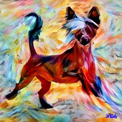 Nillah Top Model De Rama