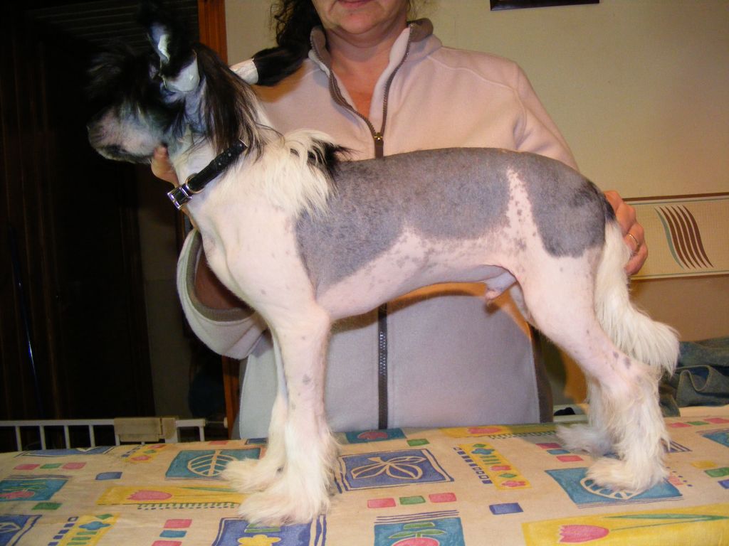 Nisyros Oh Boy by Lacdee