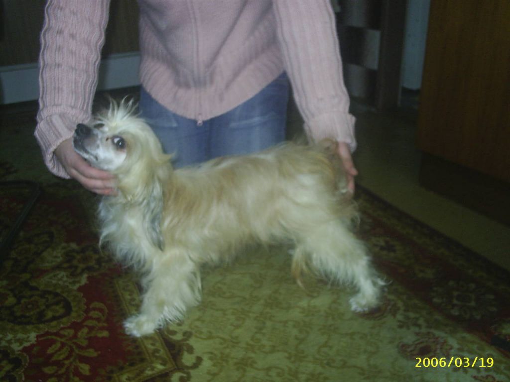 Heidi z Kamilova Dvora