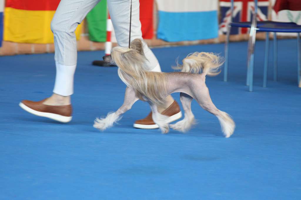 Allyson Marjon Ferry Snow Princess