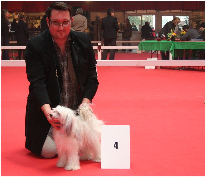 Folie Douce Du Coeur Des Tenebres