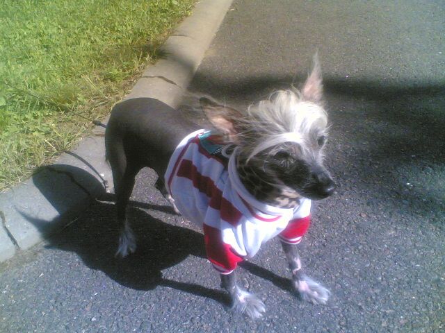 Smörkullas Stormblåst