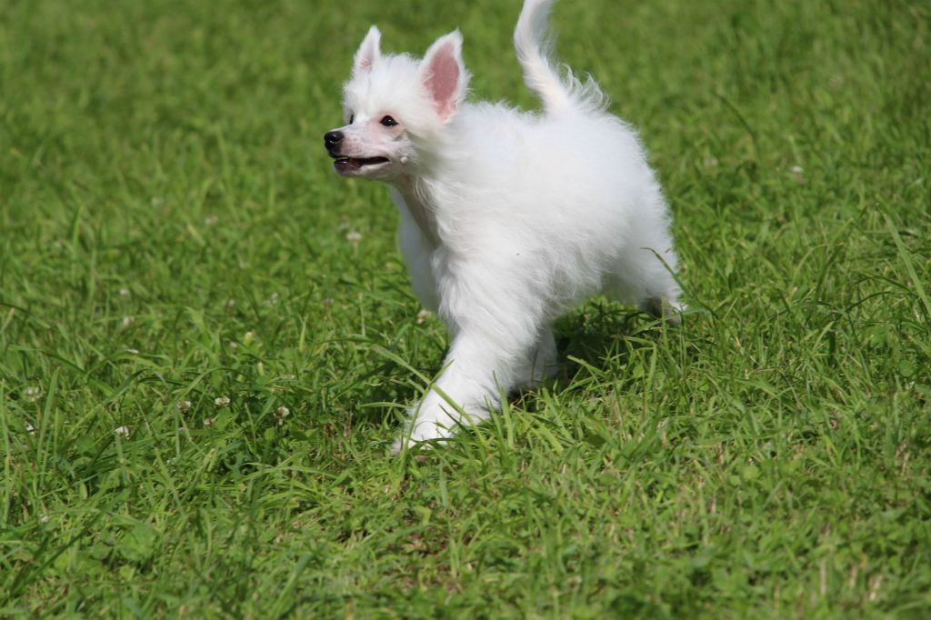 Happy Ray Dancing Queen