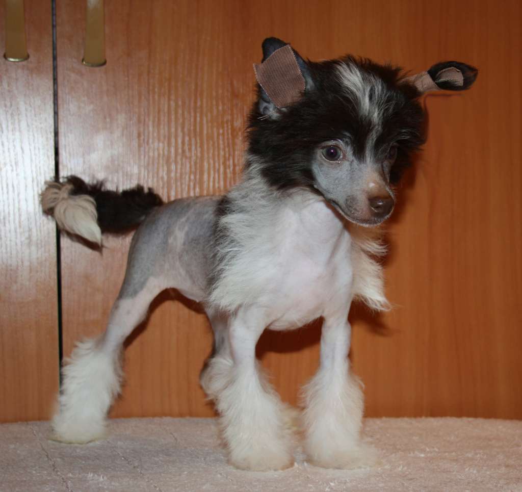 Charuyuschiy Soblazn Yuming Gloss Color