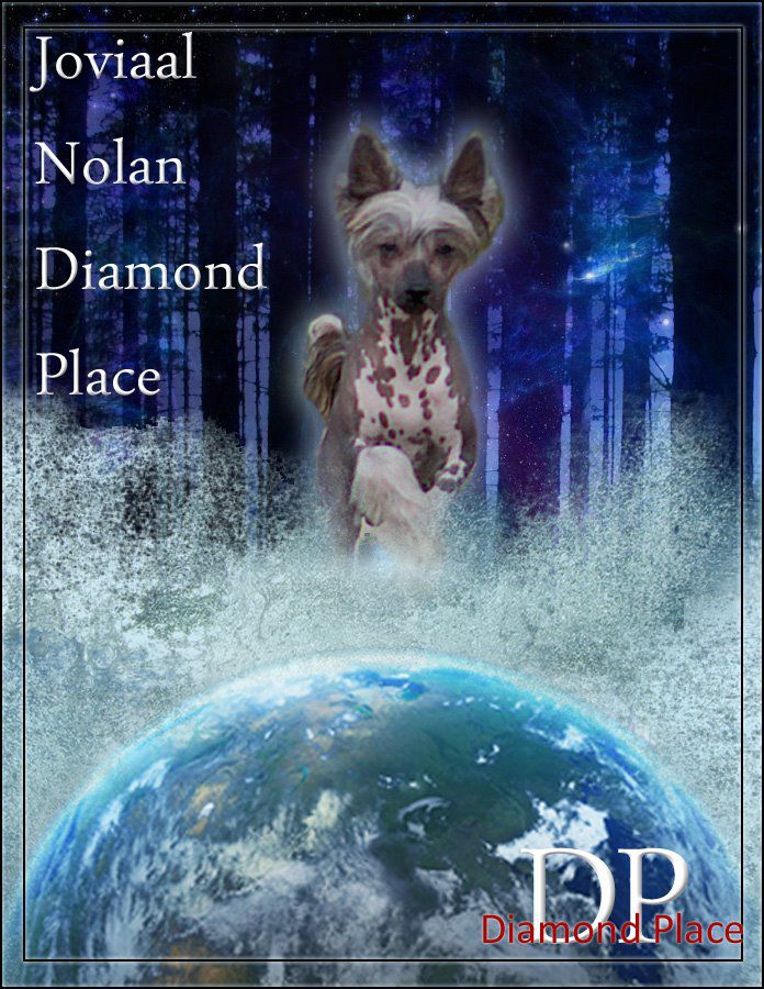 Joviaal Nolan Diamond Place
