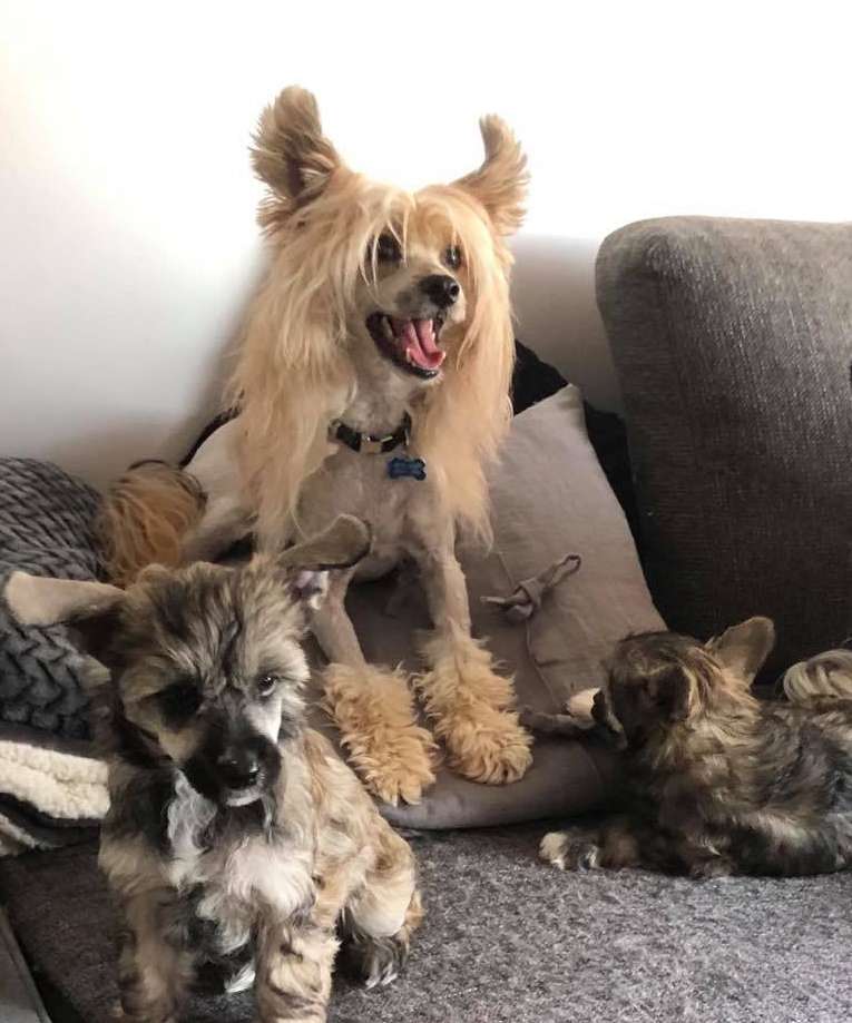 Practical Hero Witty Assistant