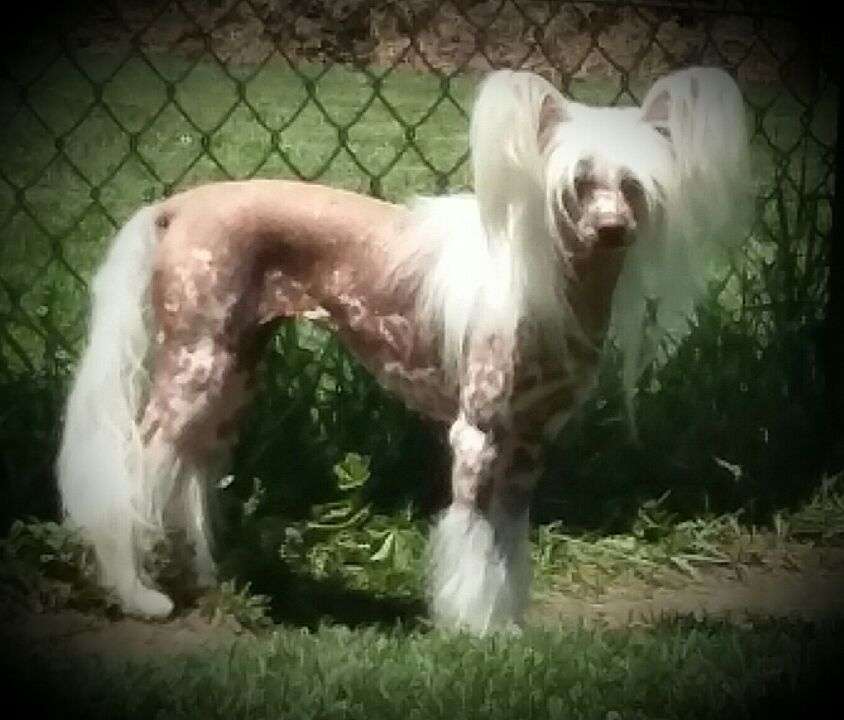 Outlaw's Im No Angel