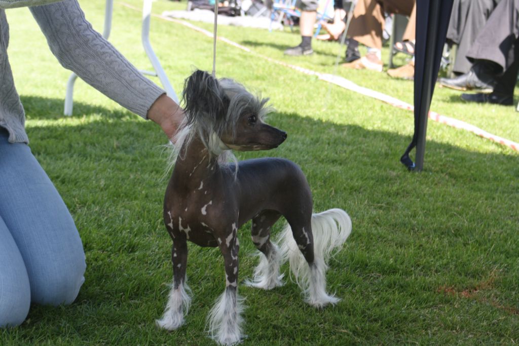 Eugenios Blue Lagoon