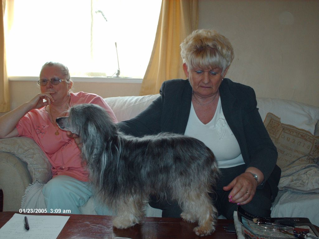 Doucai Donna Pui Bella