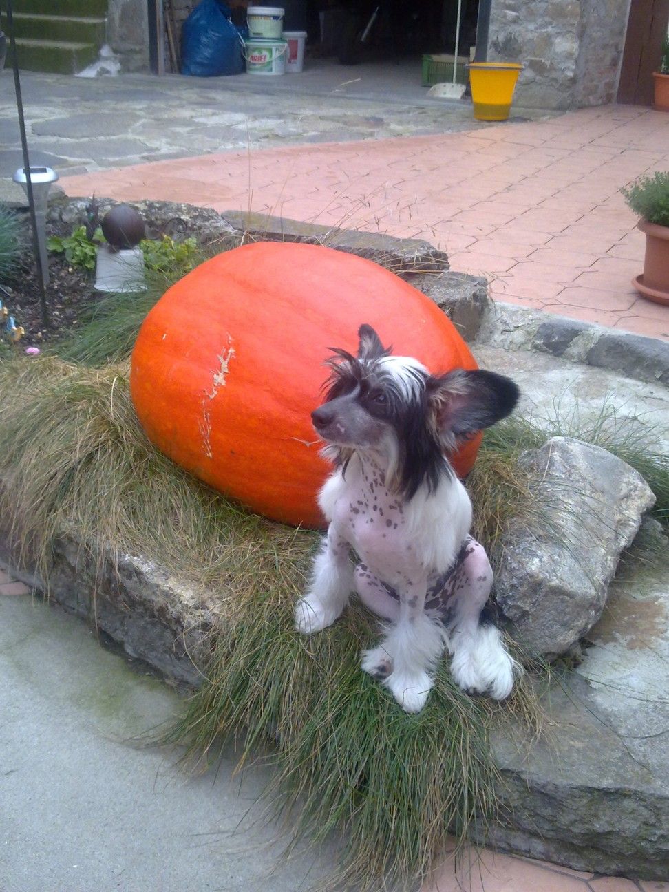 Sorbonne In Paris Al Maarii Sapphire