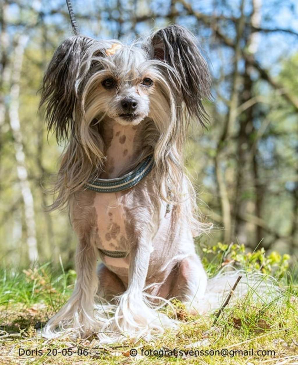 Nomilas Endless Circle