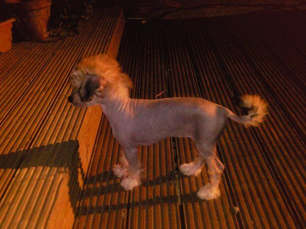 Brunwhin Blue Lagoon