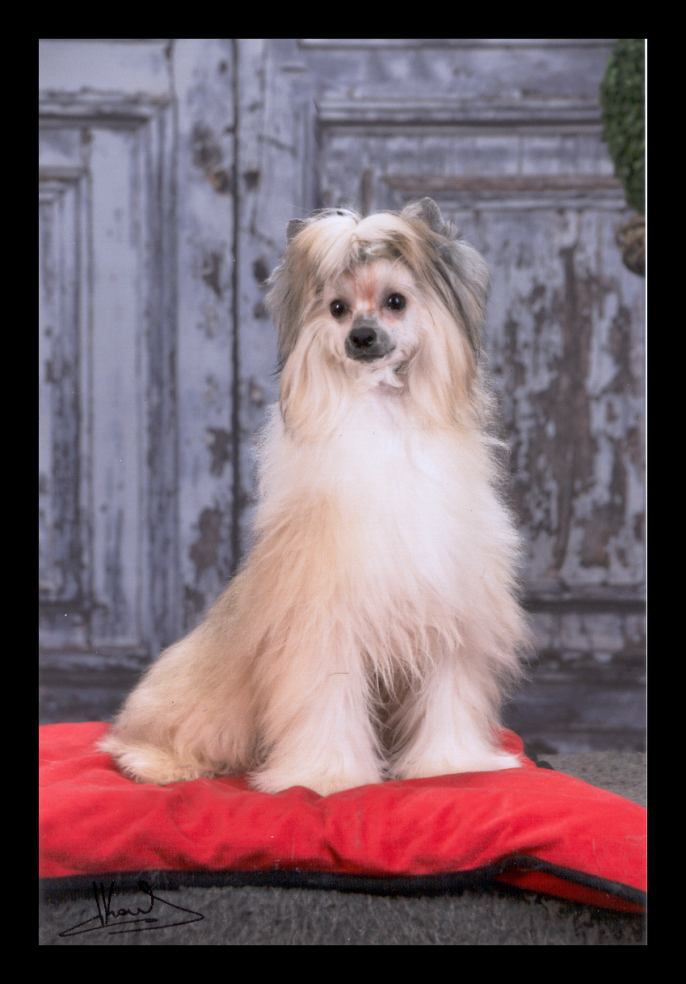 Moonwalk Top Model De Rama