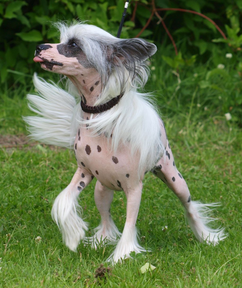 Dior Addict von Shinbashi