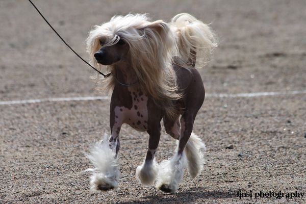 Sun Dan Bad Hair Day