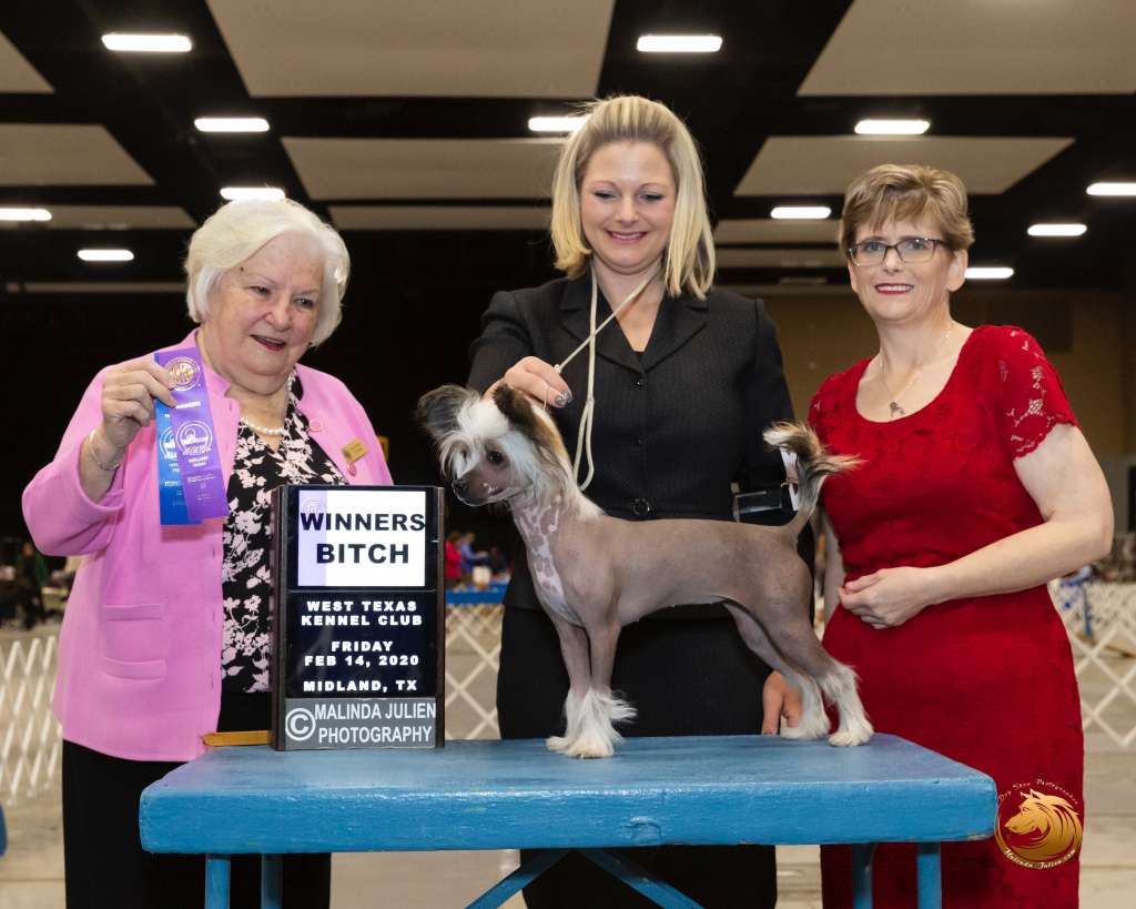 deBahTrio Spiritual Better Run Better Run