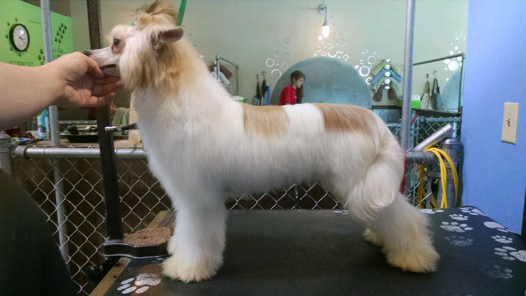 Koridawn N Zhen We Didn't Start The Fire