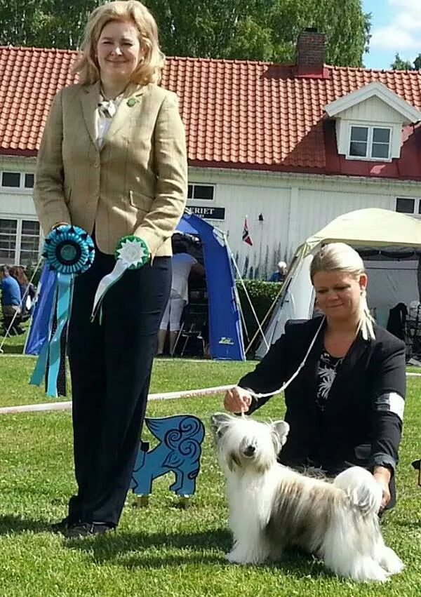 Ridgecrest's Ruthless Winner