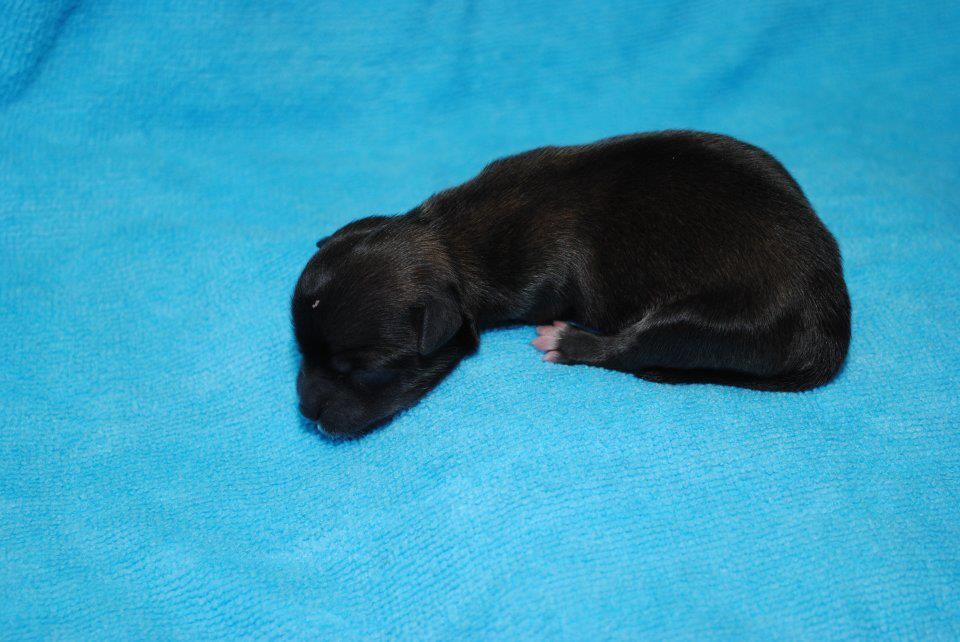 Mahns Limit is the Sky