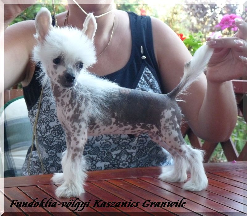 Fundoklia-völgyi Kaszanics Granville