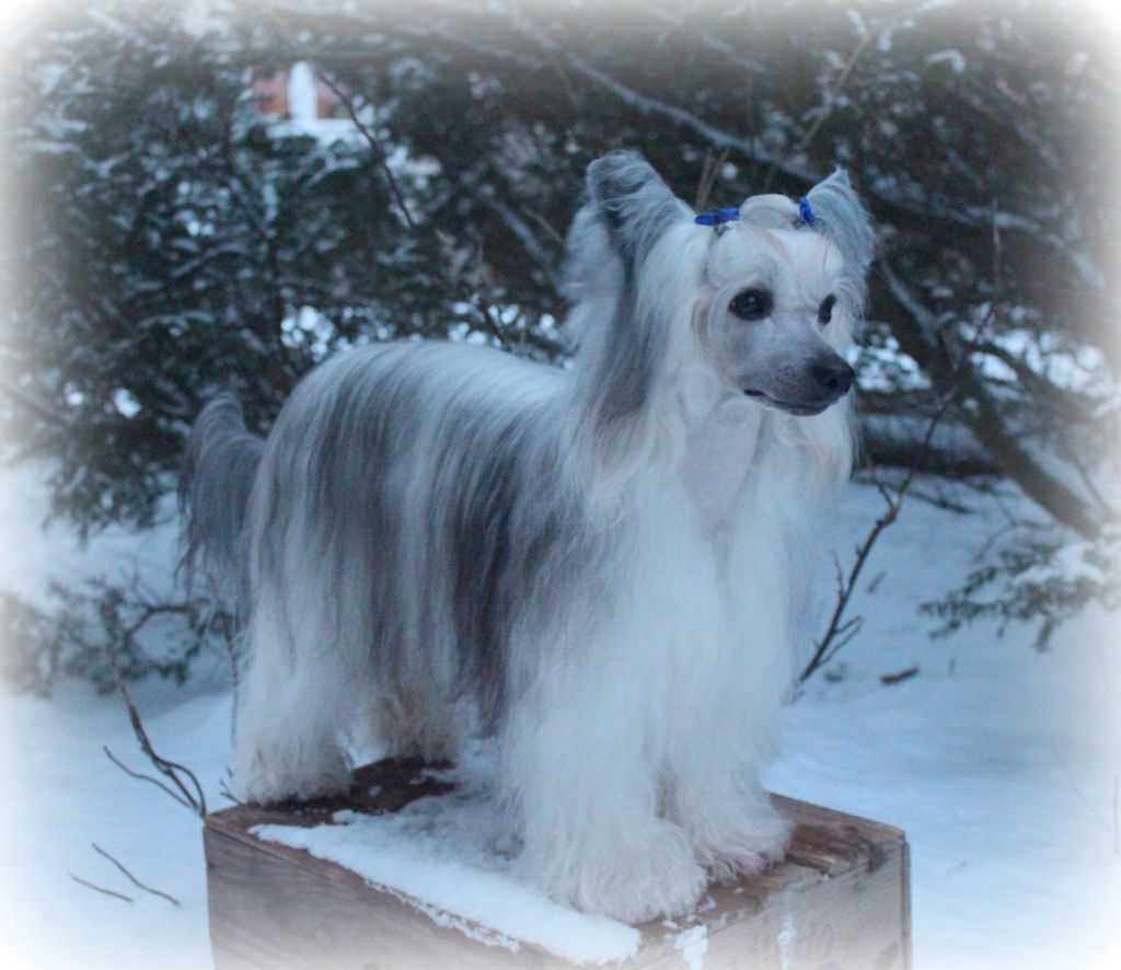 Keeping Dreams Let There Be Love