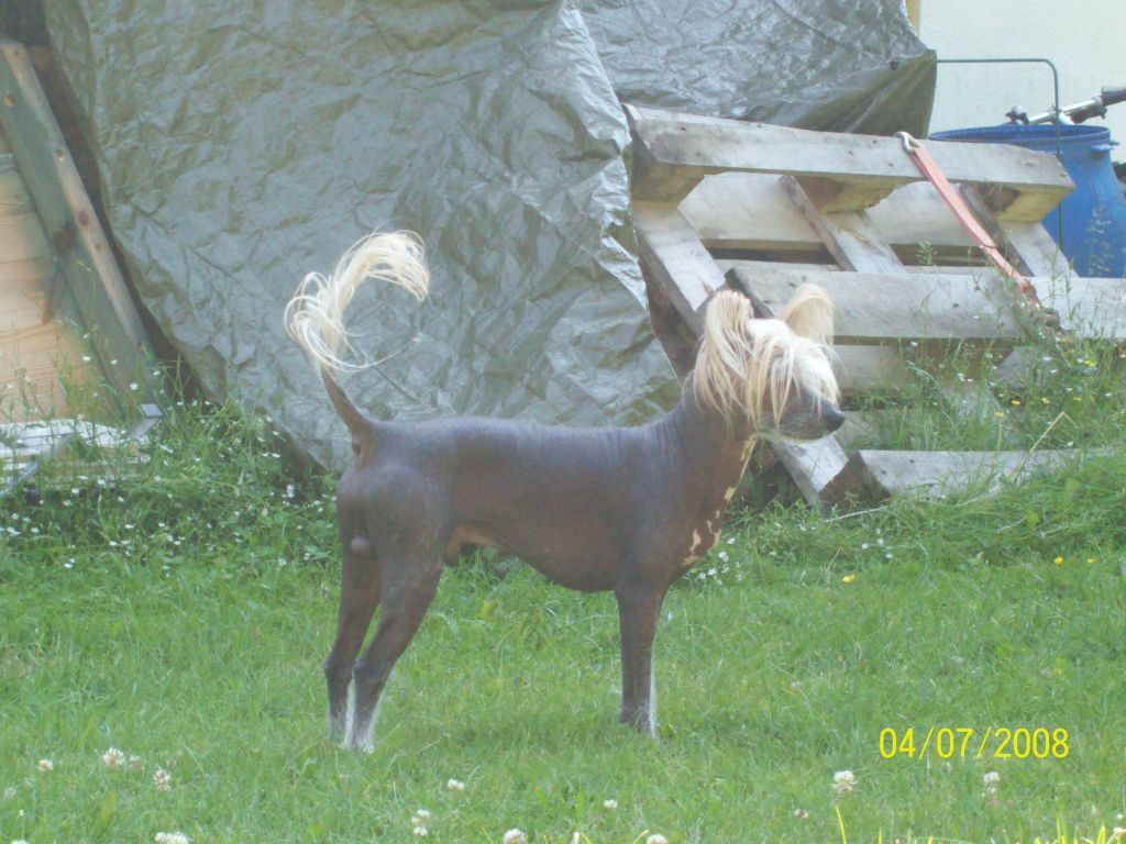 Belshaw's So De La Renta