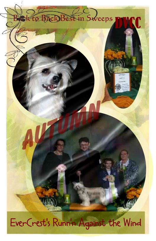 EverCrest Runnin' Against The Wind