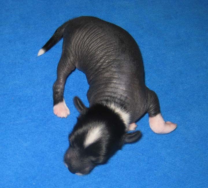 Jewels Gone Without A Trace