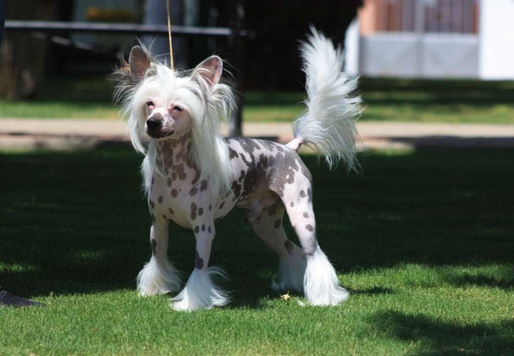 Moon Harbour Rob Lowe