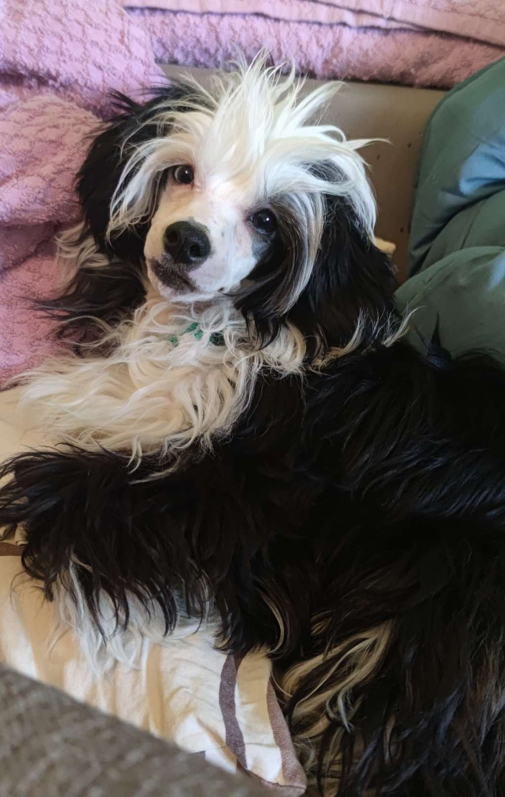 Havanna ula la Laminacka