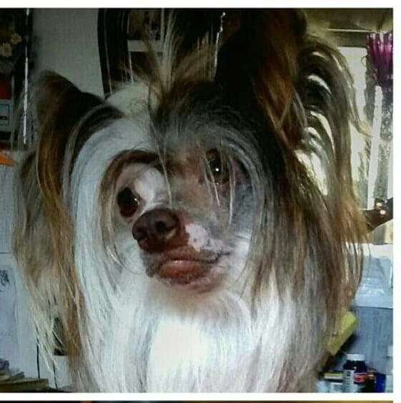 Ovatii Tsarevna Busya