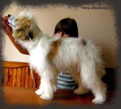 Bob Marley Athel Loren