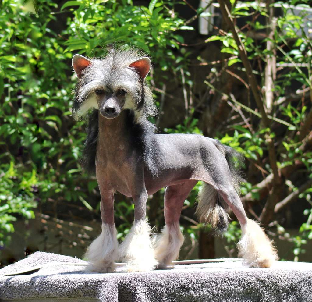 Magic Follows You Cloe (Cantarell)