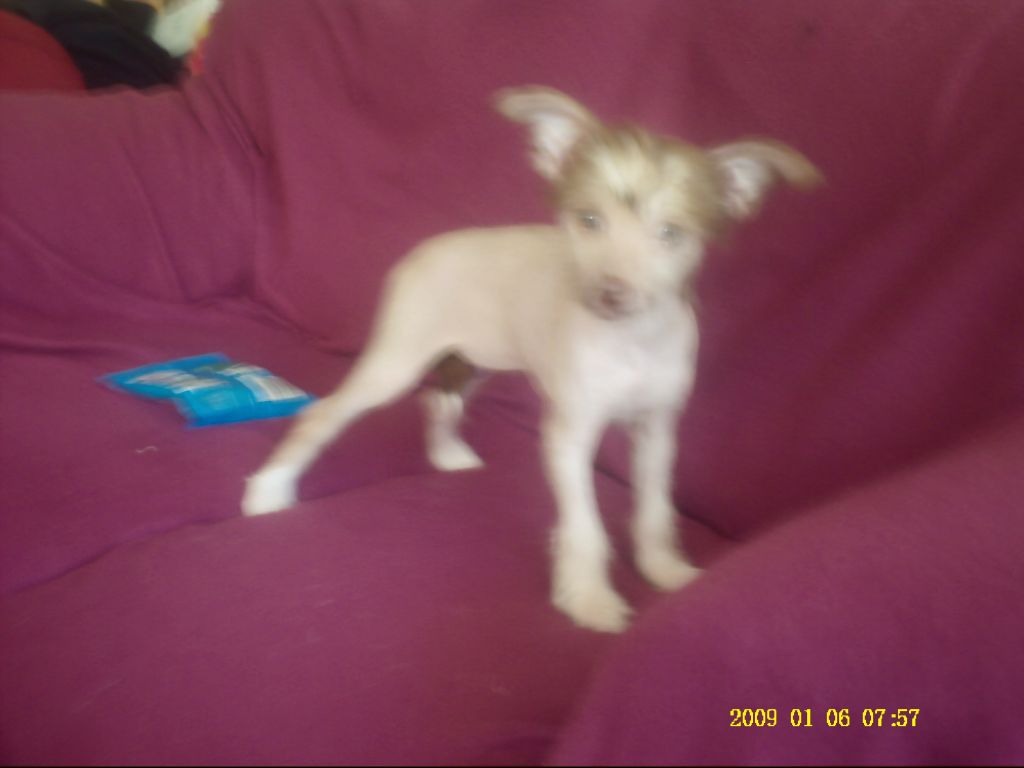 zerachiel oh so special