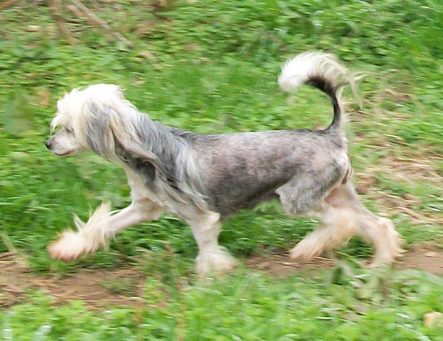 Mstical Trick or Treat