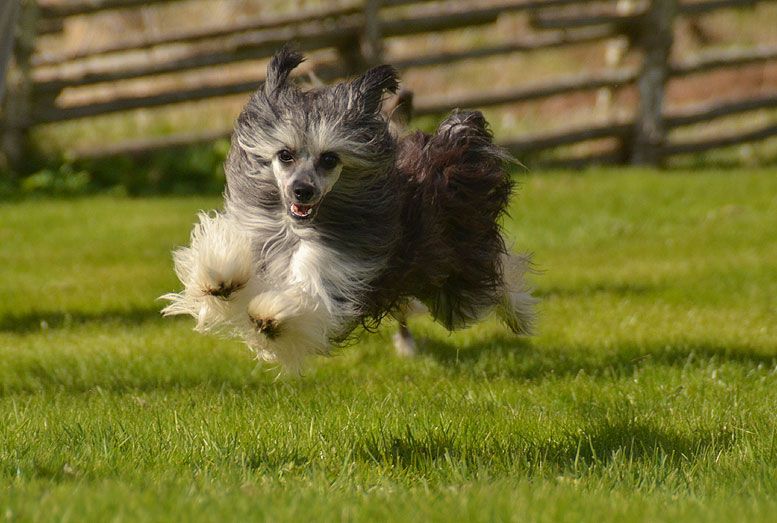 Cool Crowd's Bree Buckley