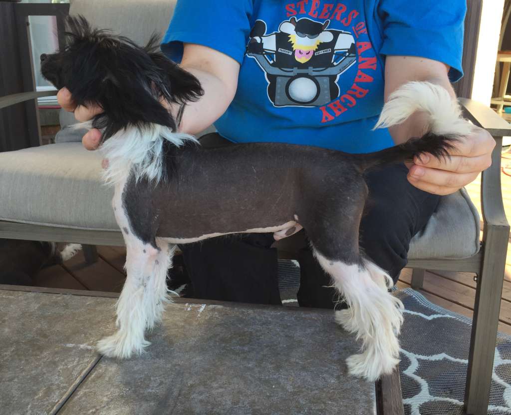 Gardine's Everything's Better with Me