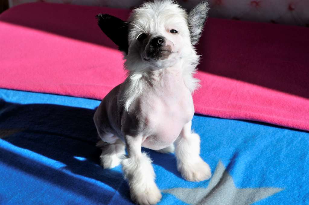 Evgrafiy Winning Smile