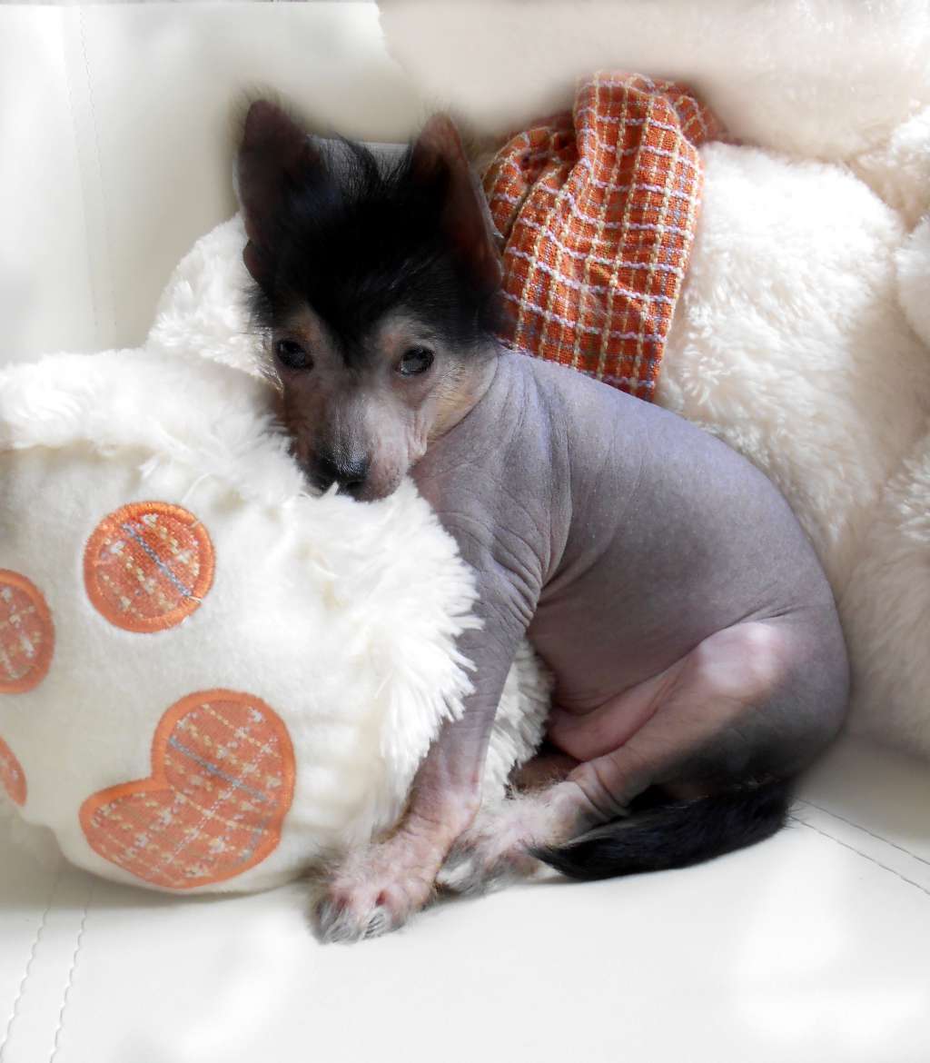 Irvina Vita Vos Quinlan